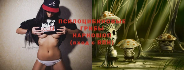 mix Осинники