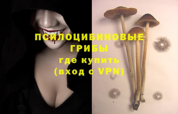 твердый Абдулино