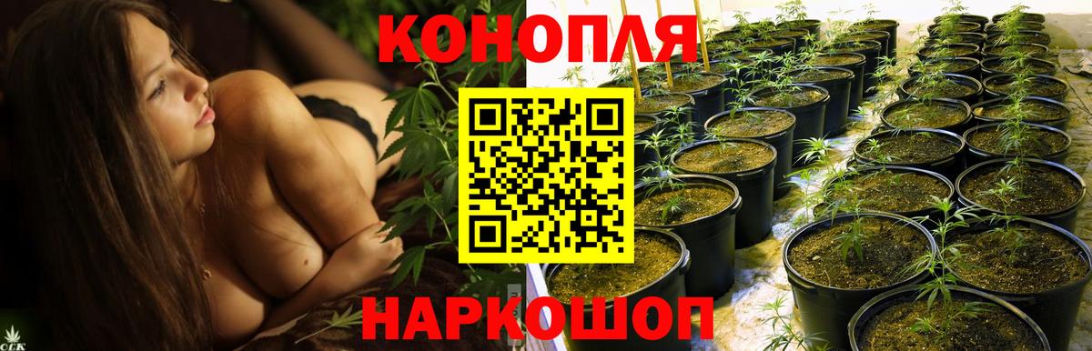 Канабис Ganja Фрязино